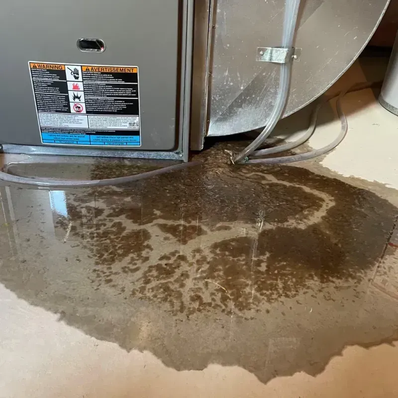 Appliance Leak Cleanup in Philo, IL